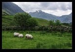 Ben Nevis -26-05-2014 - Bogdan Balaban